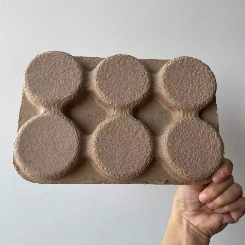 New Design Fresh Fruit Tray Packaging Molded Bio Degradable Compostable Pulp Tray Friendly Material Best Price