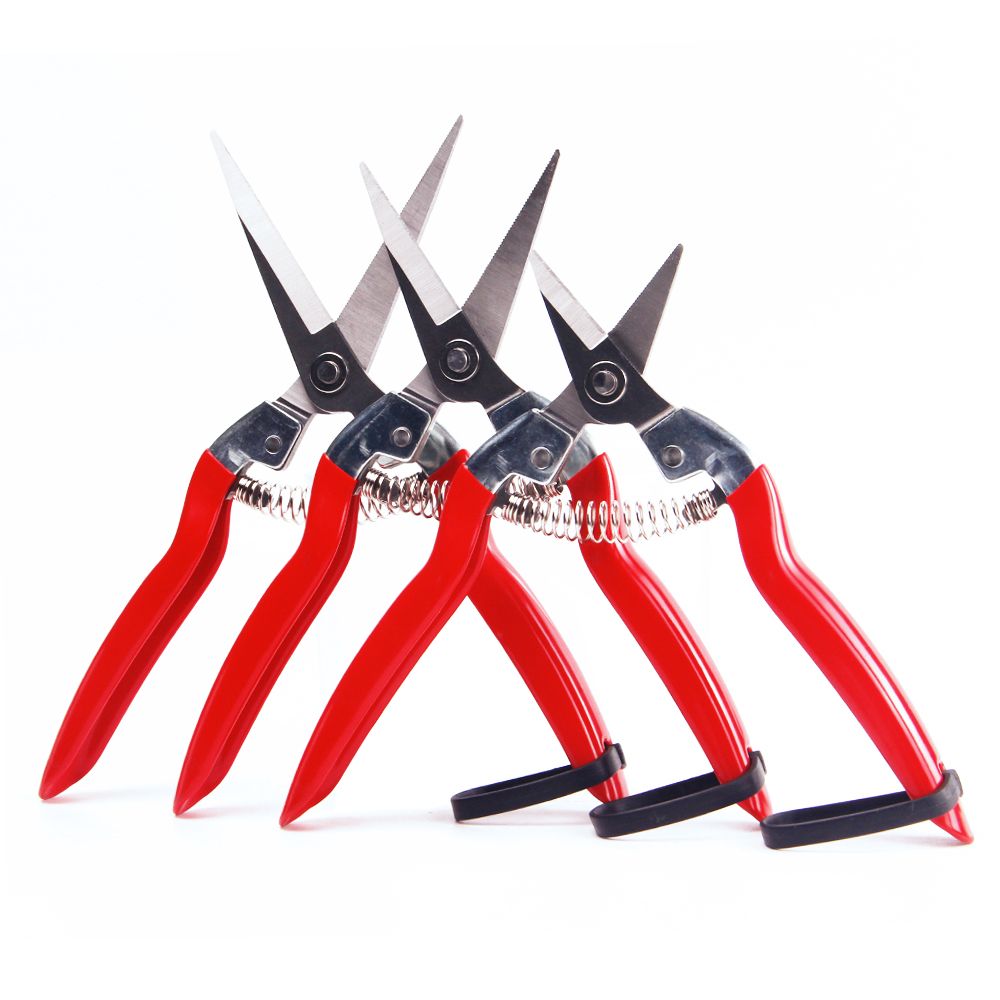 Professional Grafting Scissors for Plant Propagation