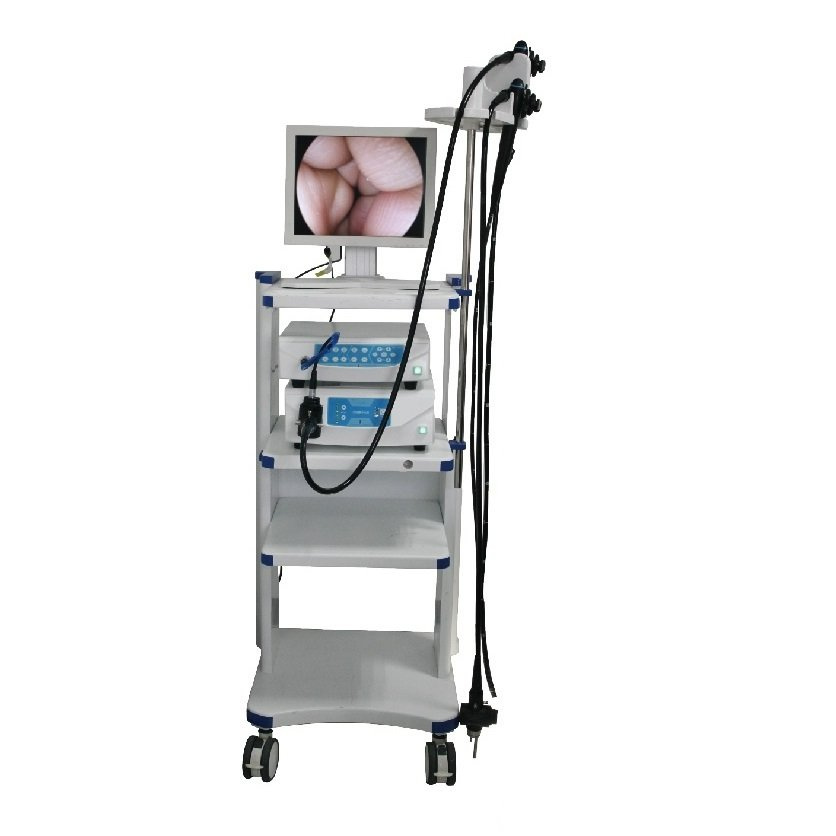 Lteg25 CCD Video Gastroscope and Colonoscope Endoscope System for Hospital