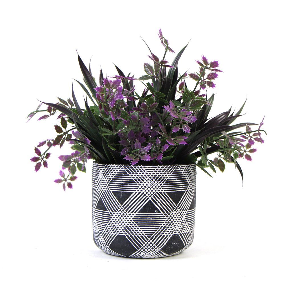 Four Seasons Evergreen Landscape Green Plant Small Bonsai Potted Plant Indoor Office Desktop