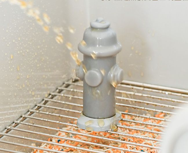 Dog Toilet Accessories Guide Urine Column Dog Toilet Anti-Splash Urine Barrier Male Dog Column Pet Supplies Wholesale