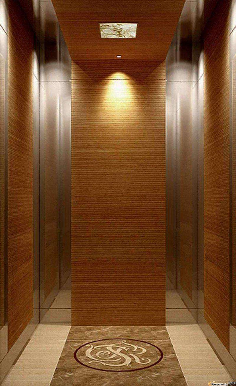China Supplier Factory Price for Outdoor Indoor Home Elevators Residential Lift with Ce