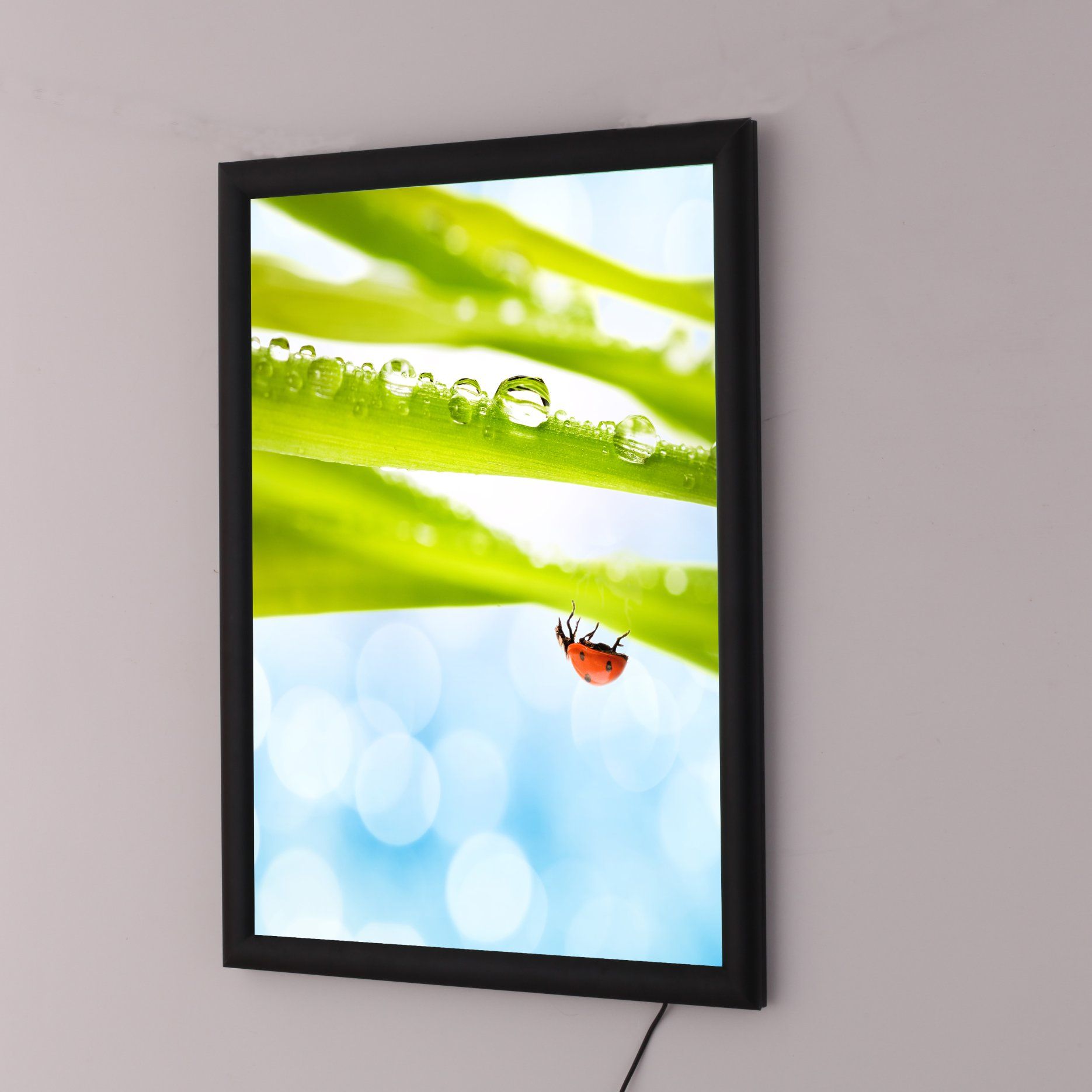 Shop Billboard Single Side Snap Frame LED Advertising Light Box