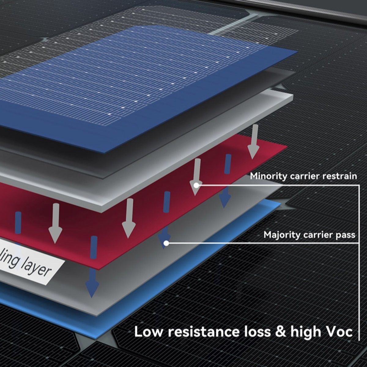 595wsolares Paneles Monocrystalline Panneau Solaire Solar Panel Cost with TUV for Home Power System