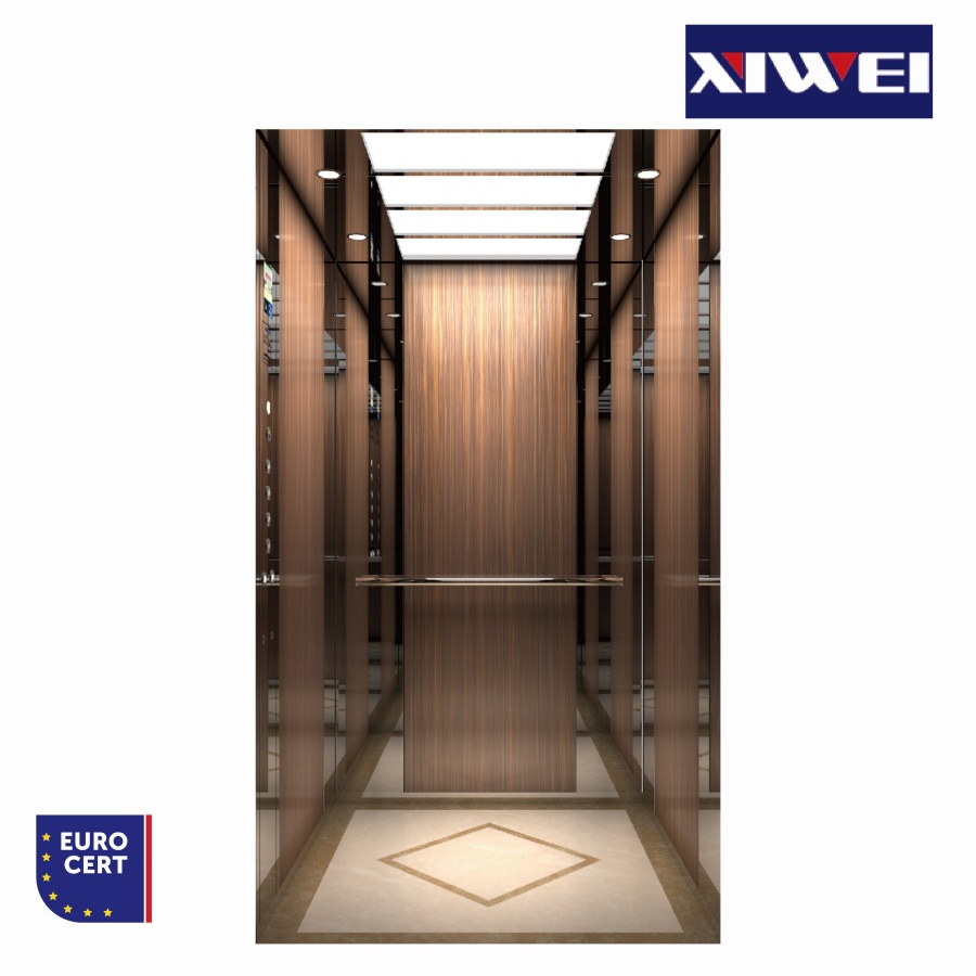 China Factory Passenger Elevator Hydraulic Home Elevator Lift