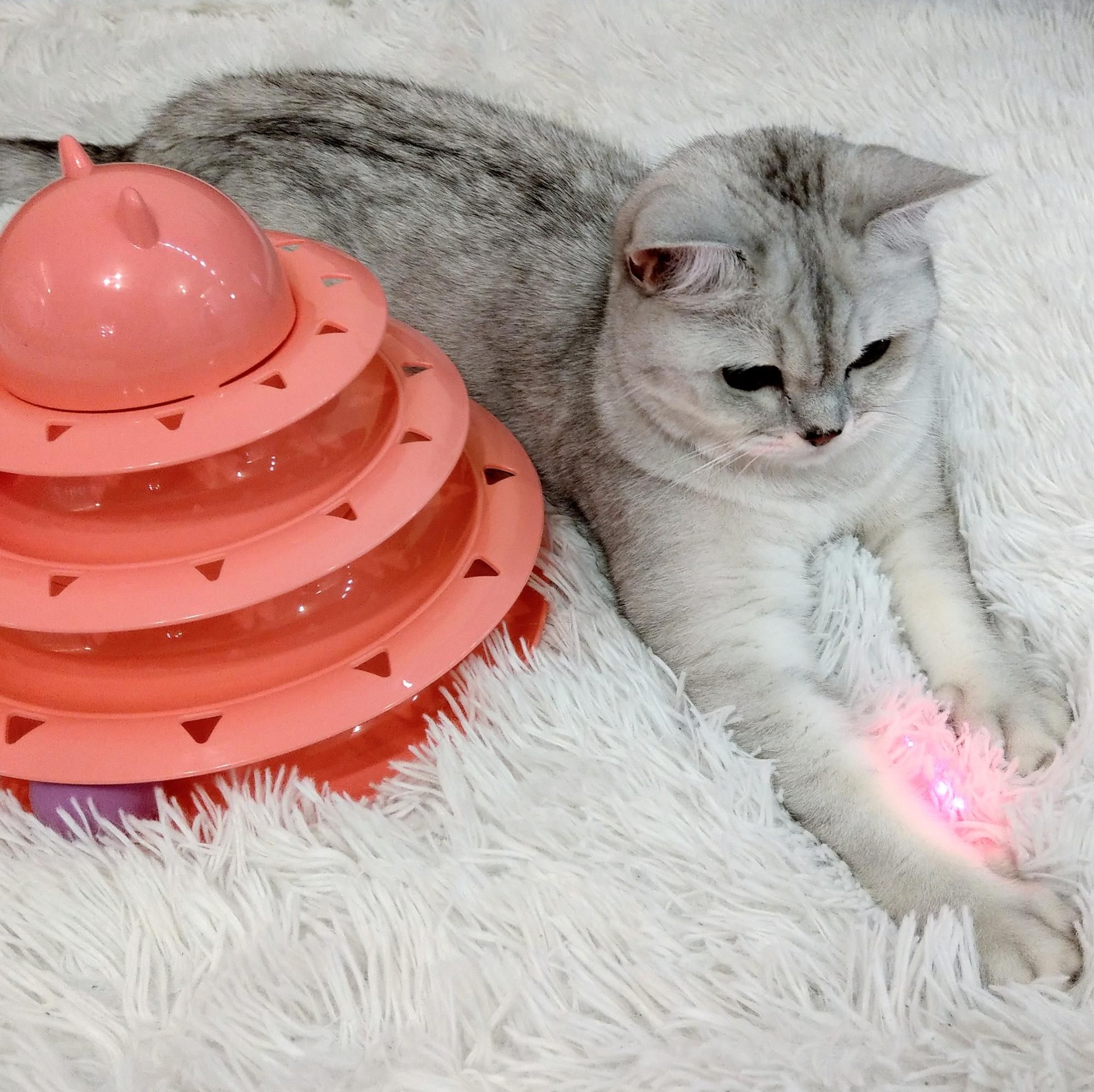 LED Light Torch Laser Pointer Cat Teaser Exerciser Cat Toy