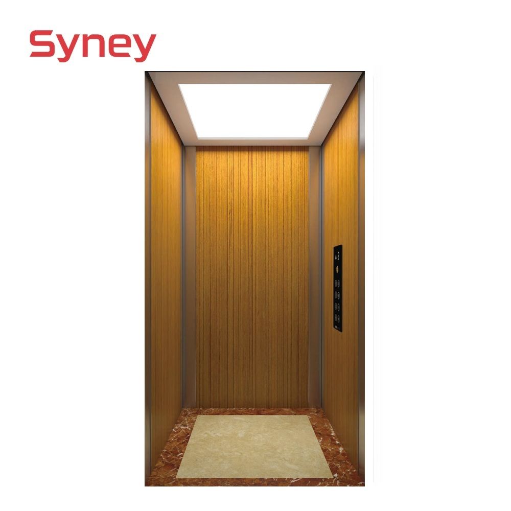 China Supplier Safe Integrated Control Residential Passenger Elevators Home Lift