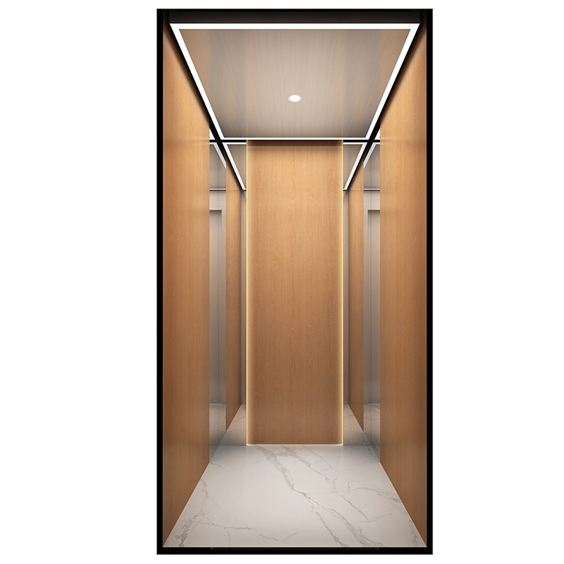 Factory-Direct Intelligent Voice-Controlled Barrier-Free Machine-Room-Less Home Villa Elevators on Promotion Stair Lift