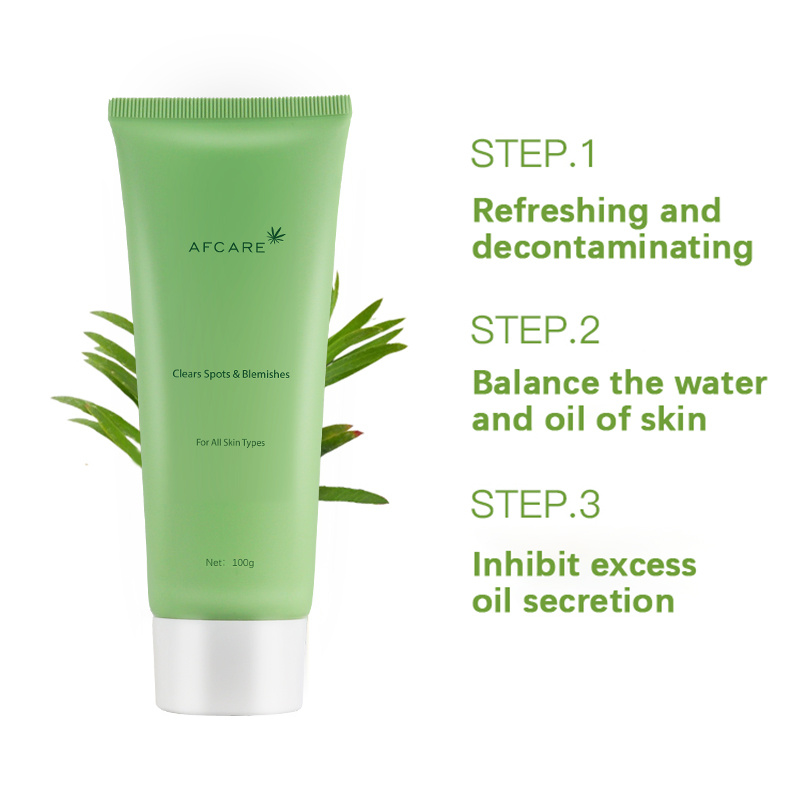 Organic Hot Selling Tea Tree Facial Wash Brightening Cleansing Anti Acne Vegan Plant Extract Facial Cleanser