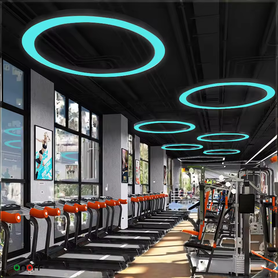 Project Round Pendant Light 600mm 800mm Circle Ring Led Hanging Lamp Ceiling Lamps Rgb Circular Linear Light For Gym Playground