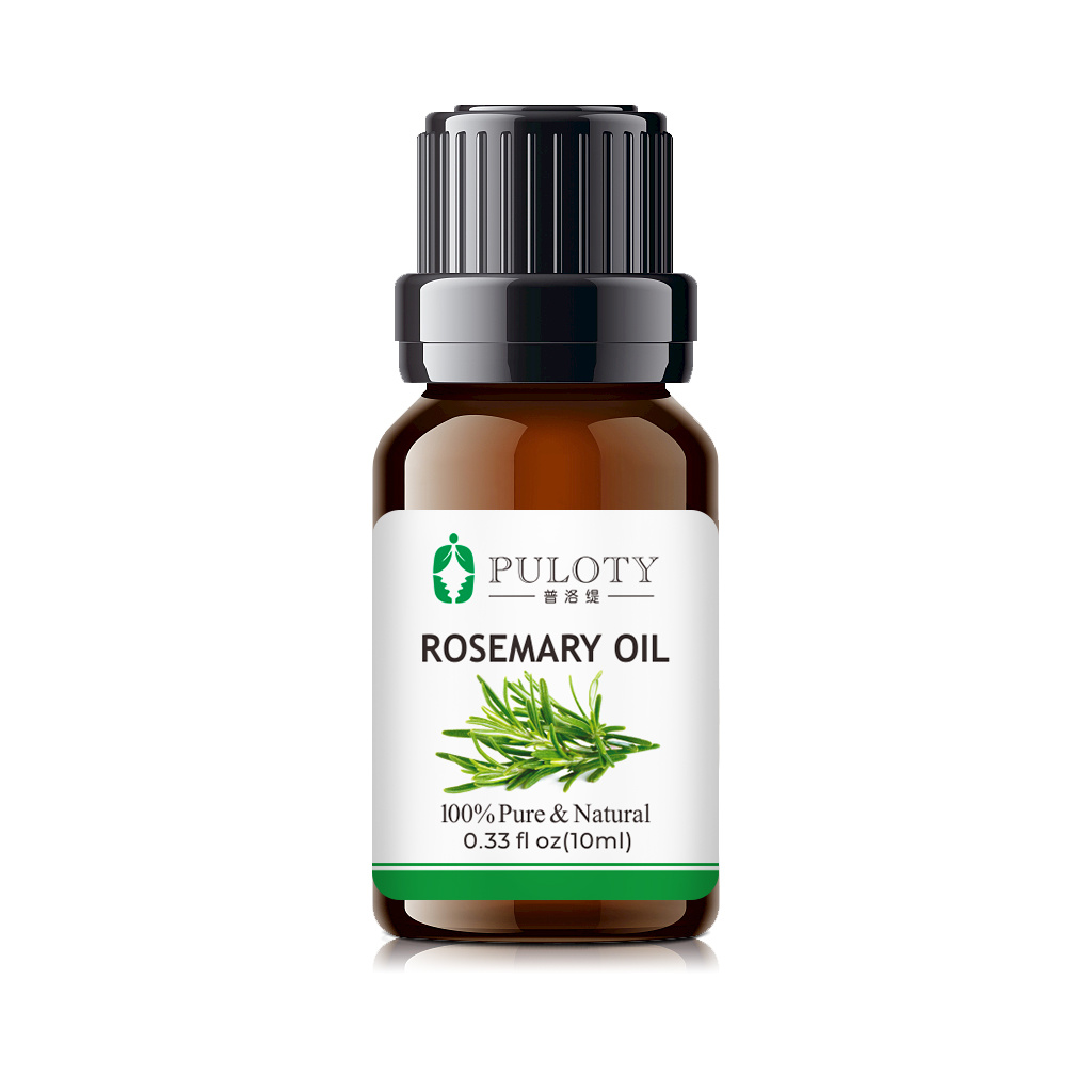 Natural Special Aroma Rosemary Oil Essential Oil Natural Plant Extract in Stock