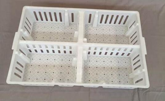 Chicks Turnover Box Poultry Plastic Transport Crate for Duck Pigeon