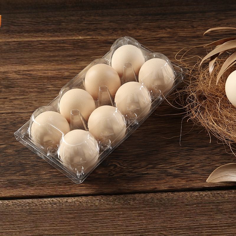 2025 Plastic Egg Tray Disposable Transparent Clear Pet Plastic Clamshell Blisterpackaging Food Tray Transparent Plastic Egg Box