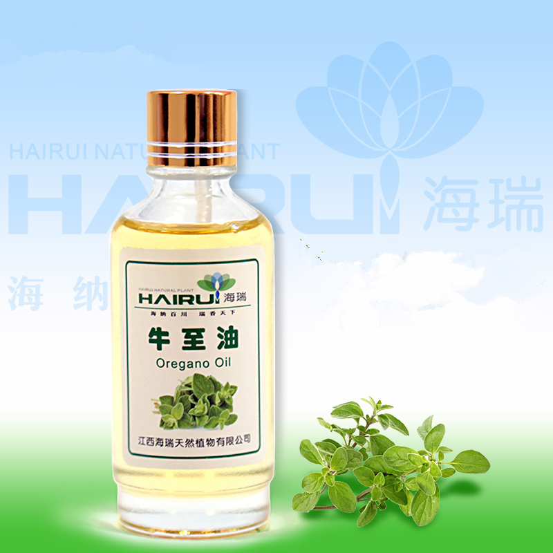 Low Price Wholesale 100% Pure Natural Oregano Essential Oil for Export