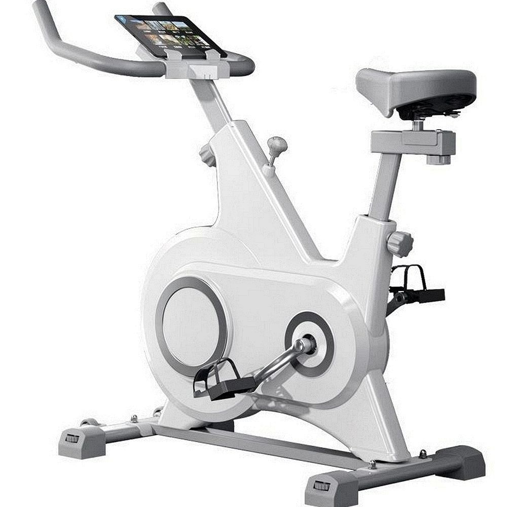 Factory Home Gym Equipment Exercise Training Bike Spinning Bike with Cheap Price
