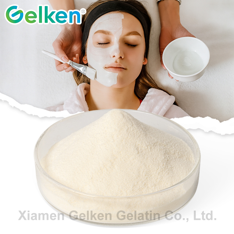 Top Collagen Premium Quality Hydrolyzed Bovine Collagen Peptide for Beauty and Joint Health, Halal