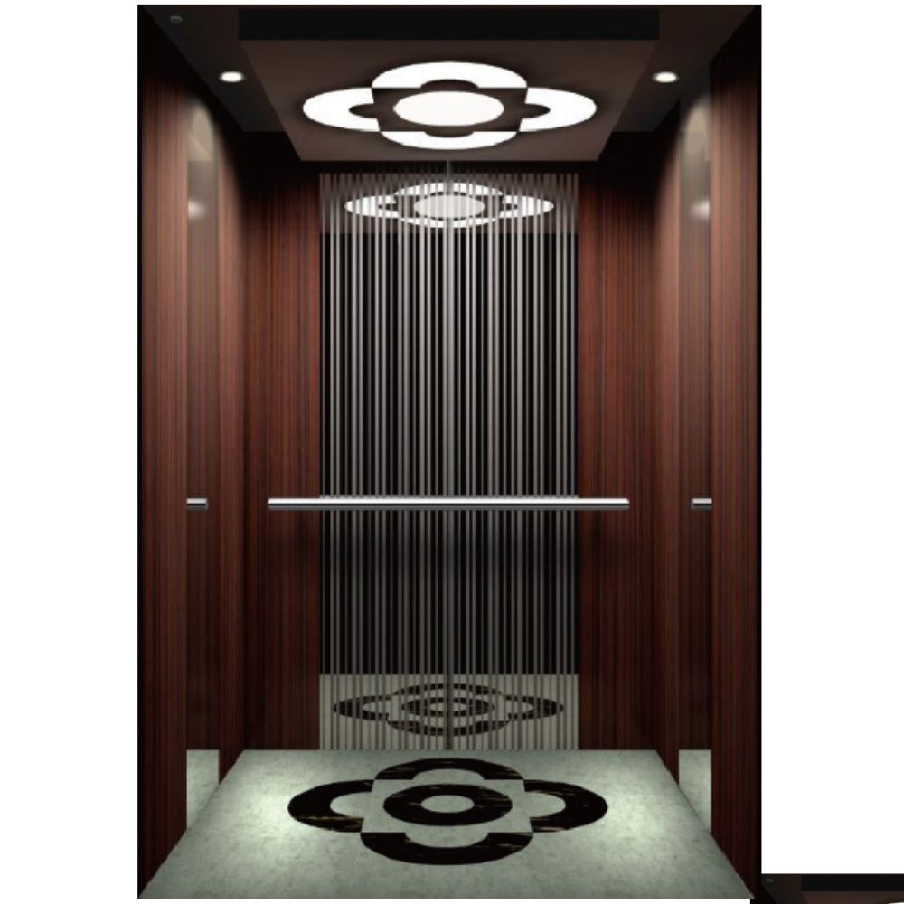 China Luxury Wholesale Traction Elevator Home Lift Passenger Elevator with Europe Standard