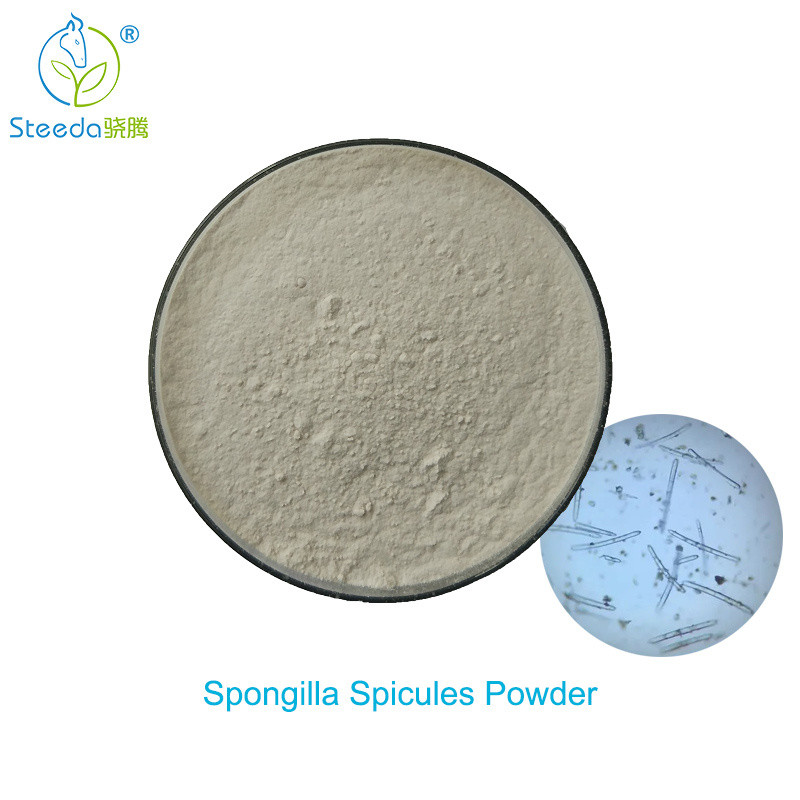 Manufacturer of High Quality Sponge Spicule Powder Bulk