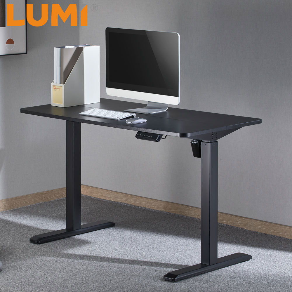 Wholesale OEM ODM Home Office Furniture Study Gaming Height Adjustable Table with Factory Price