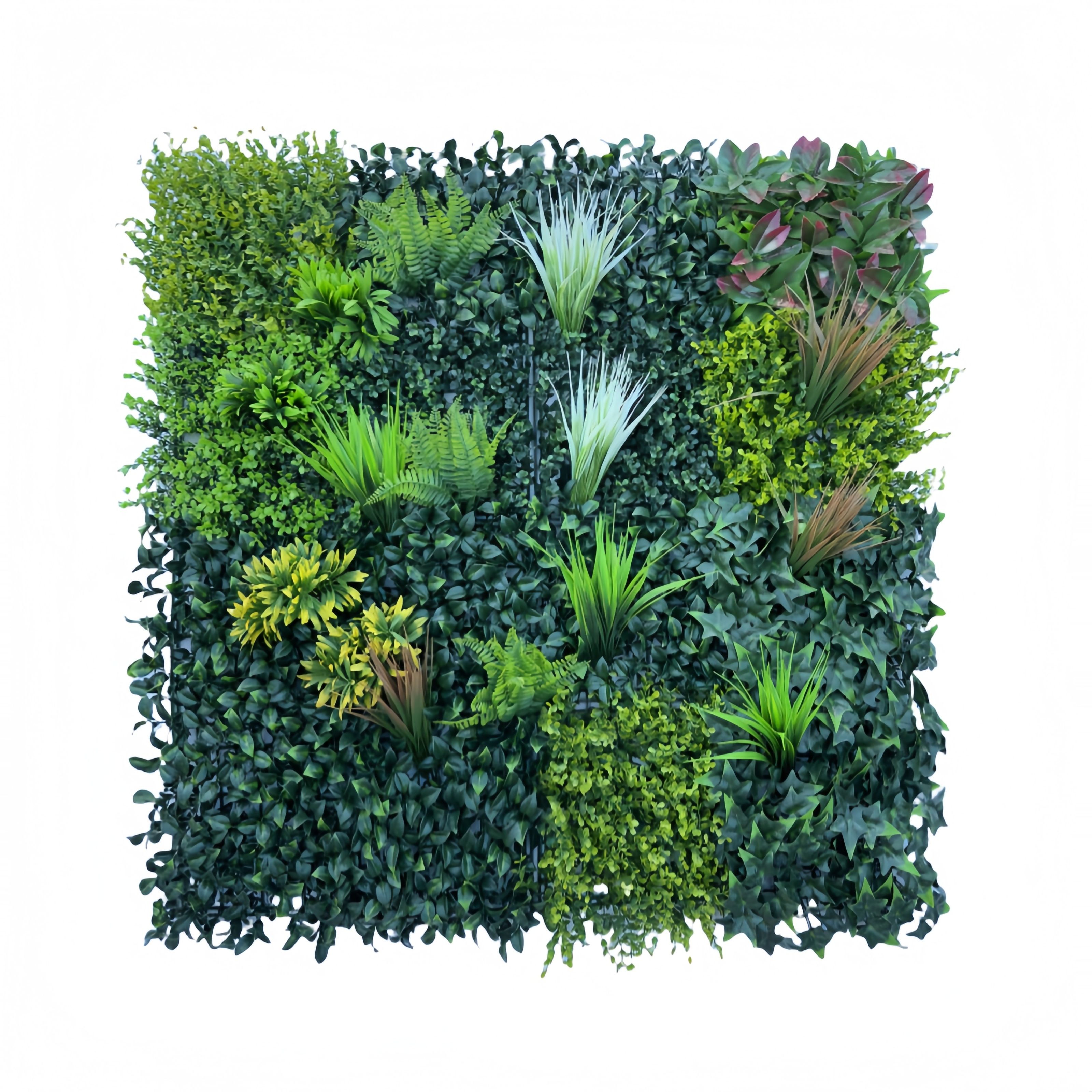 Stylish 3D Plant Wall Art for Indoor and Outdoor Spaces