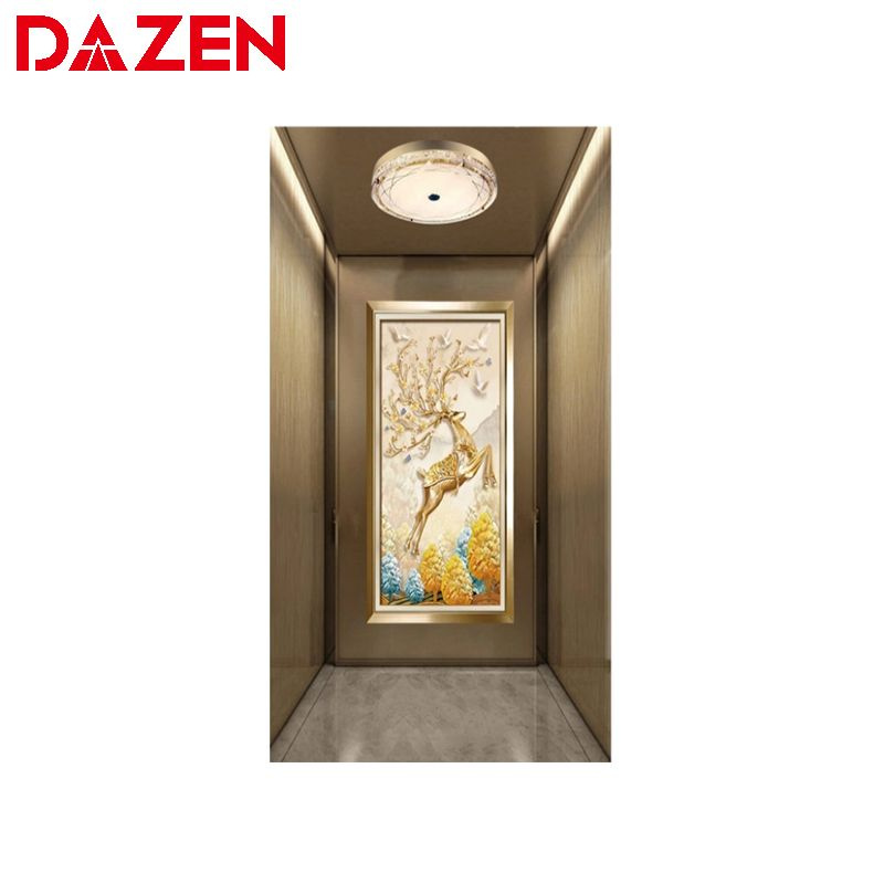 Best Quality Wooden Cabin Steel 450kg-2000kg Passenger Lift for Home Residential