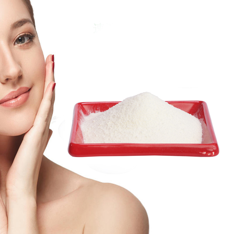 Wholesale Hot Sale Hydrolyzed Marine Collagen Powder Fish Collagen Peptide for Beauty Makeup