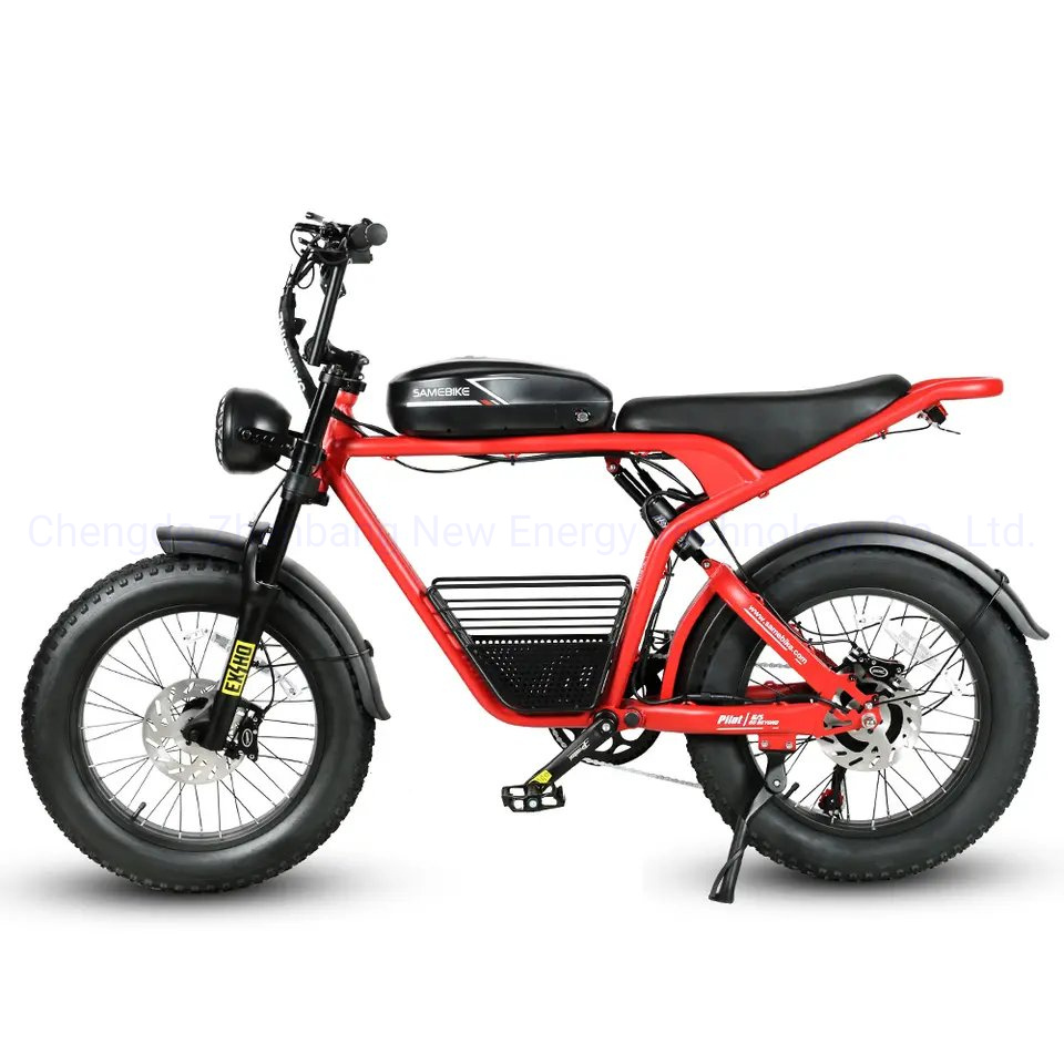 2024 Cheap Electric Fat Tire Bike 48V 1000W Full Suspension Electric City Bike with Good Quality
