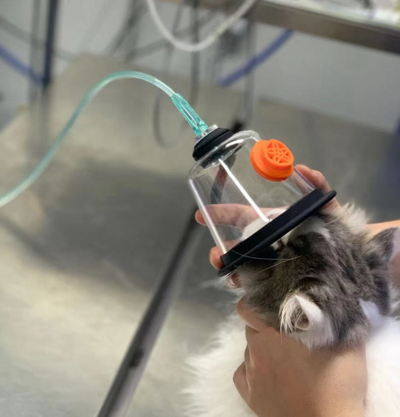 Wholesale Ce Iso Veterinary Pet Small Animal Dog Cat Medical Surgery Oxygen Therapy Masks 5 Sizes Instrument For