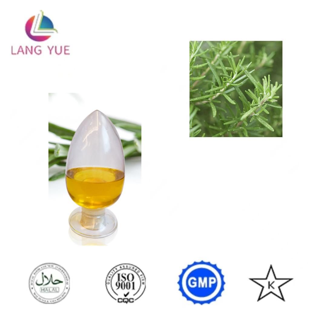 High Quality and Factory Price of Rosemary Essential Oil
