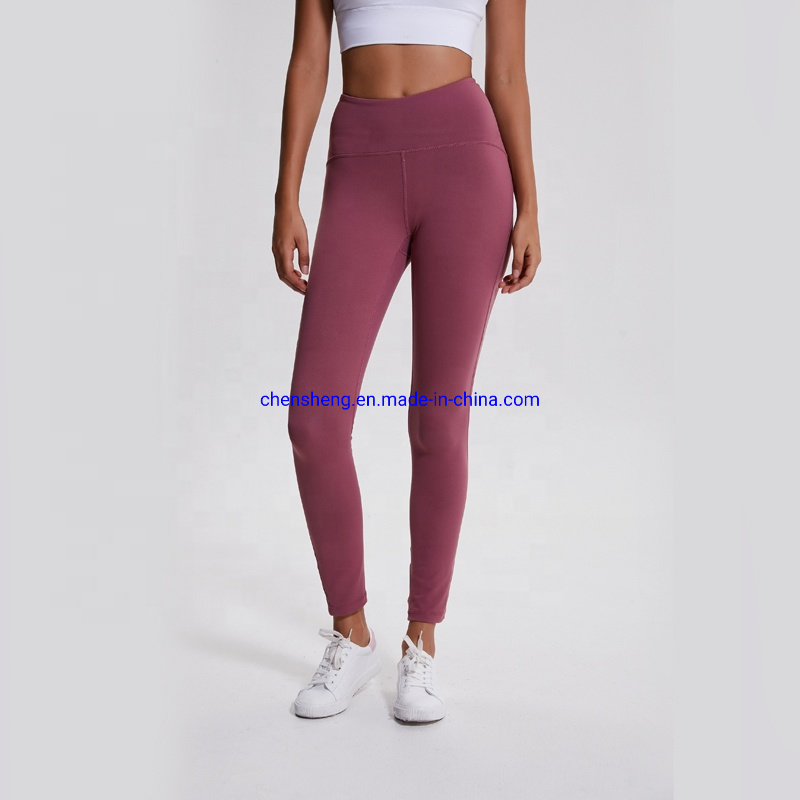 Fast Drying Gym Leggings Sport Bra Top Fitness Leggings