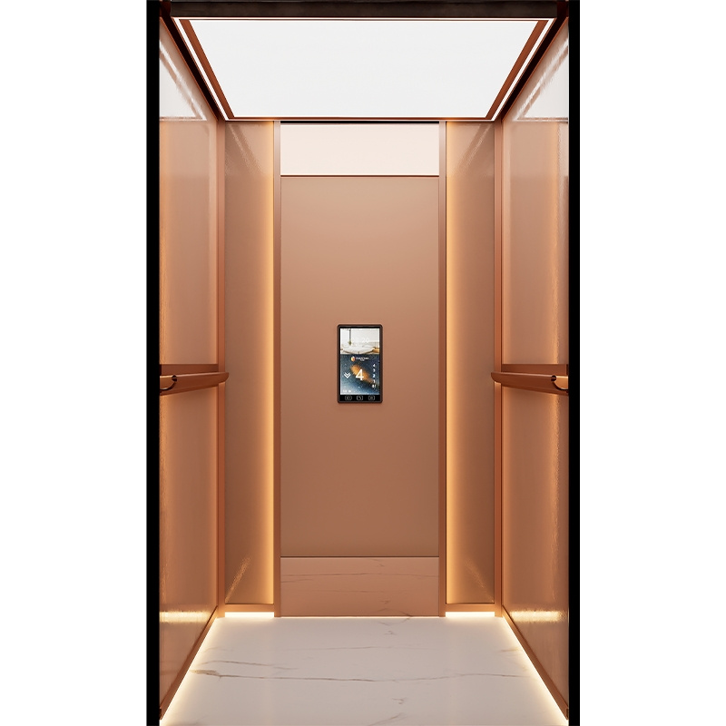 Home Villa Elevator Price Duplex Residence Small Elevator Commercial Passenger Elevator Stair Lift