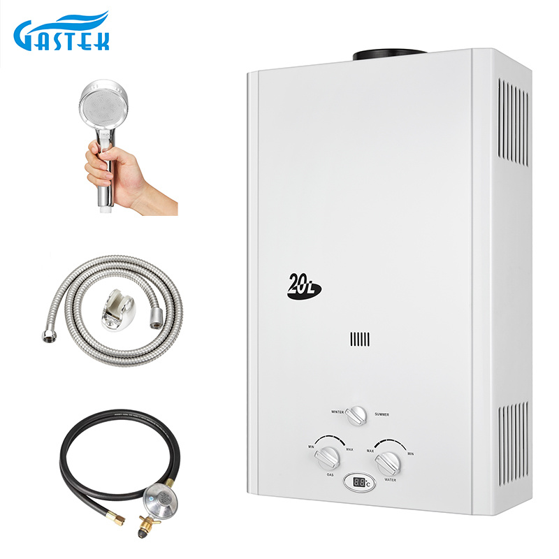 China Supplier Wholesale Home Appliance Flue Type Gas Water Heater