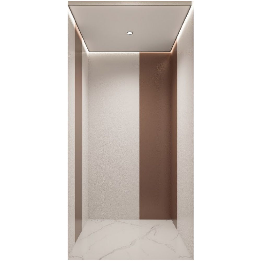 Hot Sale Residential Home Elevator for 2-8 Person with Best Design