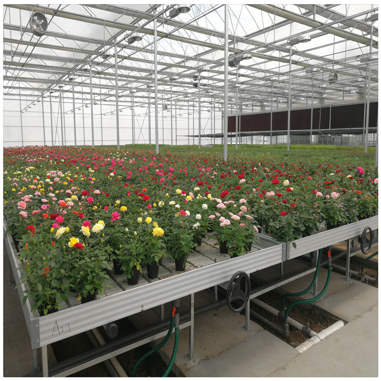 2024 Hot Selling Growing Tables 4X8 Flood Drain Trays Rolling Bench