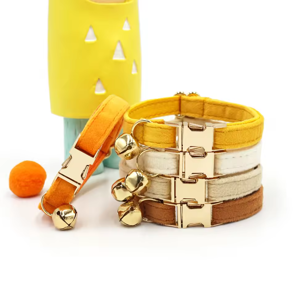 Small Luxury Velvet Cat Collar With Reflective Padded Ribbon Cross-border Laser Engraved Floral Pattern Training Dogs Leash