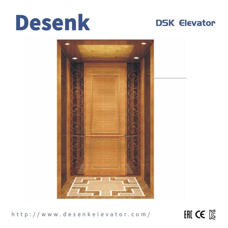 FUJI Elevator Villa Machine Room Passenger Home Elevator Lifts with Goods Residential Hotel