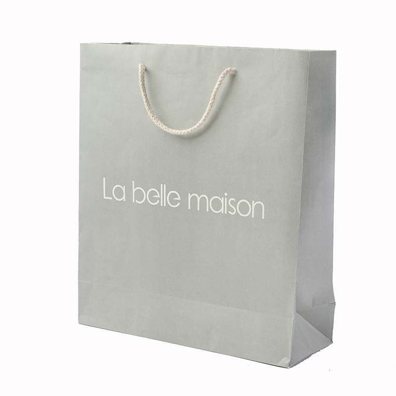 The Latest Popular Hand Paper Bag