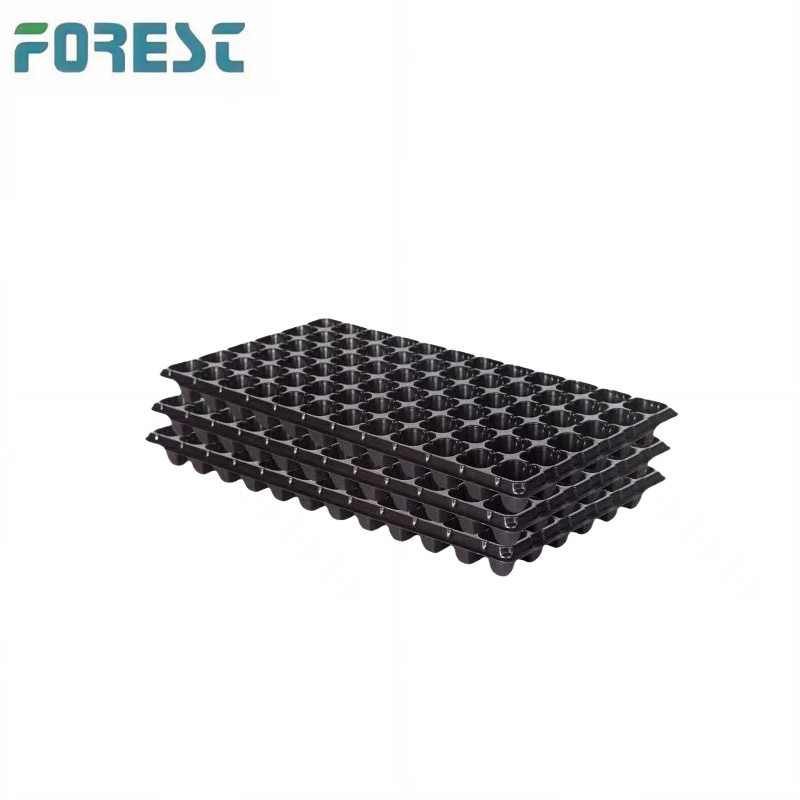 105-Hole Brand New Pet Fruit and Vegetable Seedling Tray Model Fully Supports Customization