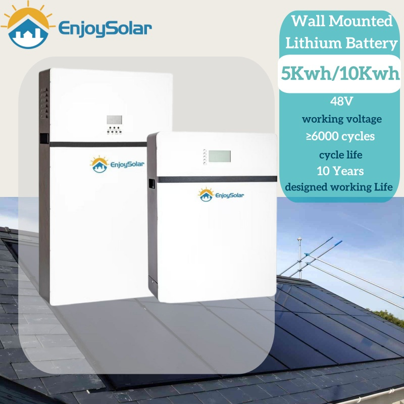 Wall-Mounted 5kwh/10kwh Solar Lithium Battery for 48V Home Energy Storage System
