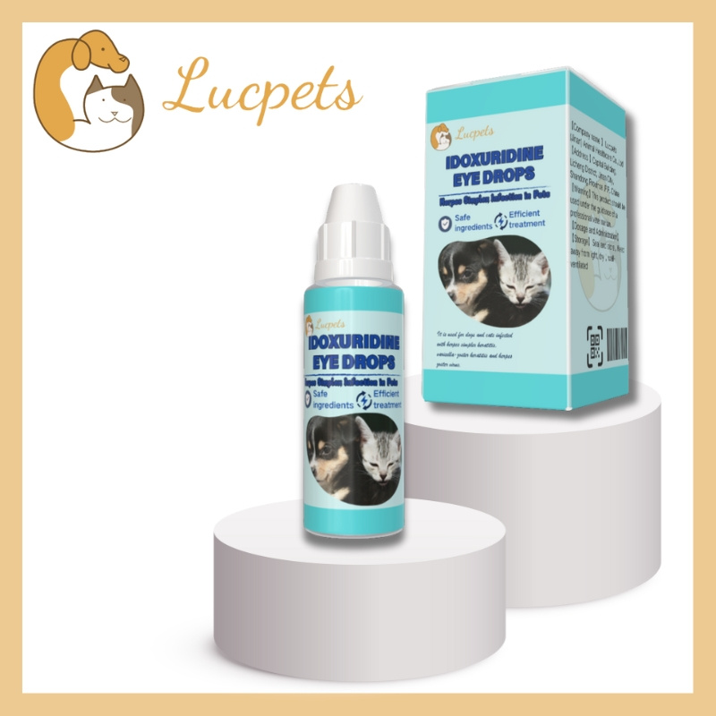 Pet Idoxuridine Eye Drops About Herpes Simplex Keratitis, Herpes Zoster, Smallpox Keratitis of Cats and Dogs
