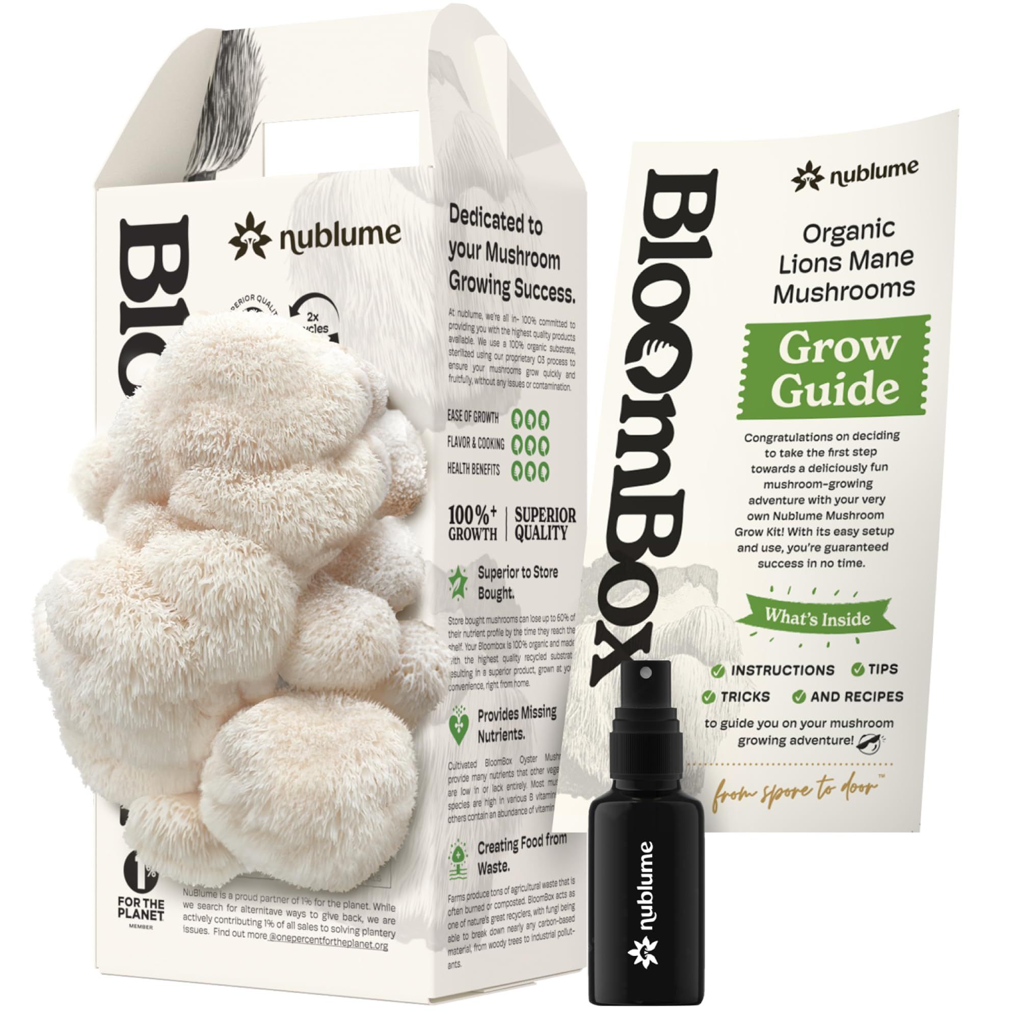 Wholesale Organic Lion's Mane Mushroom Grow Kit at Home