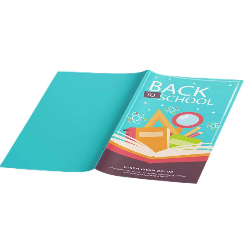 Hot Sale Printed Design Poster Brochure Color Portable Fancy Pamphlet Booklet Brochure