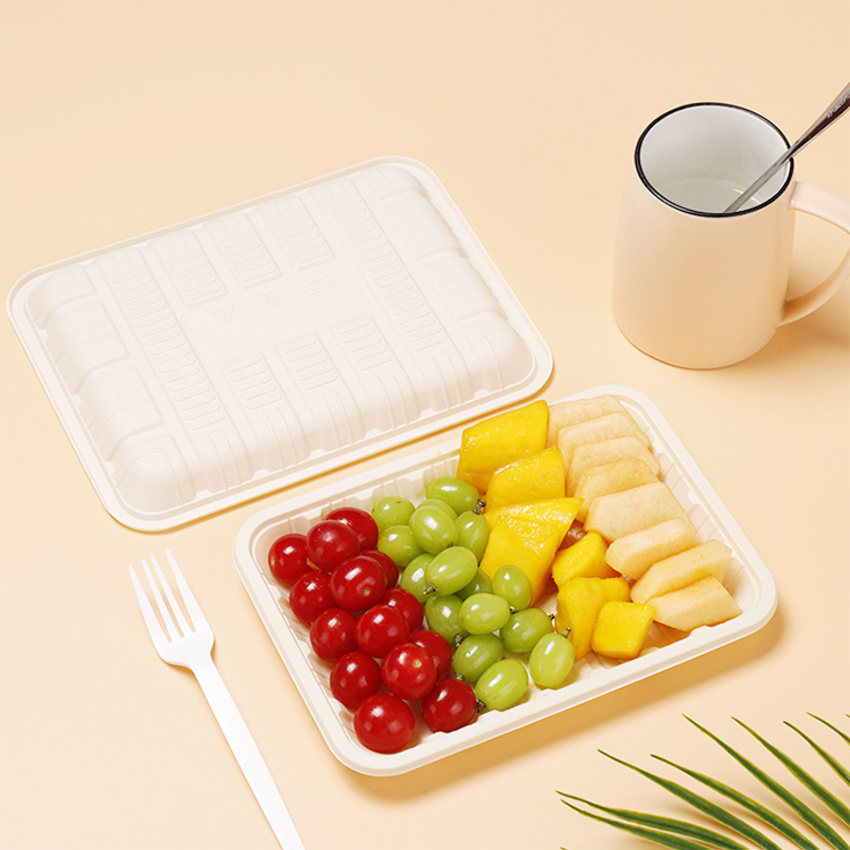 Hot Sale Disposable Biodegradable Trays Corn Starch Lidless for Fruits and Vegetables Packaging