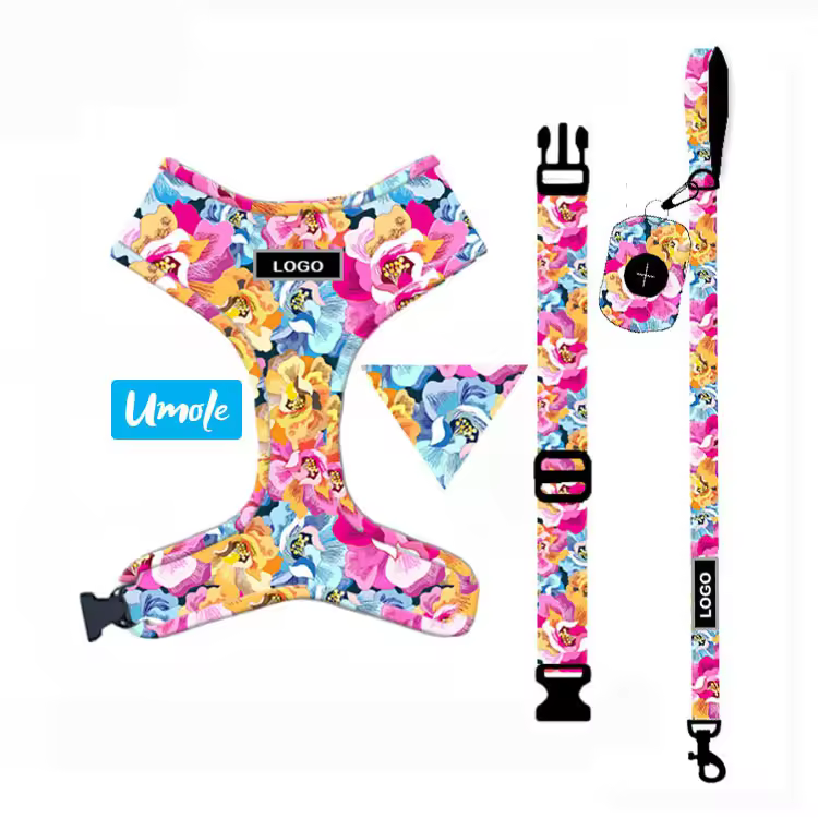 Dog Leash and Harness Set