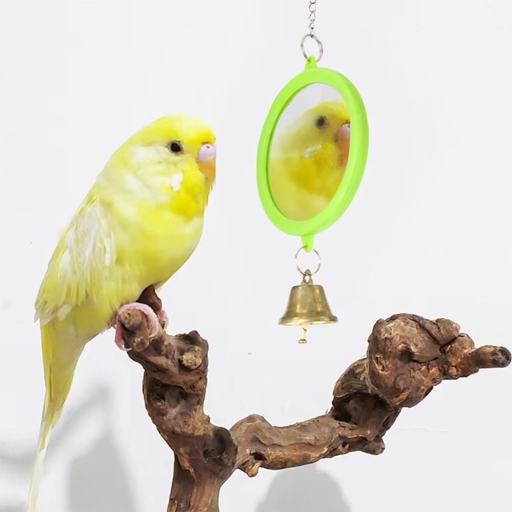 Wholesale Interactive Pet Bird Mirror with Bell Mirror Bird Swing Chew Toys