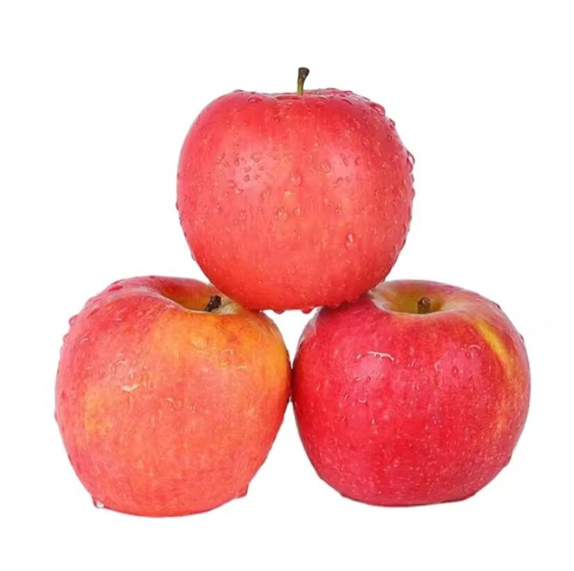 China's New Crop Top Grade Fresh Red FUJI Apple Fruits Supply All The Year Round