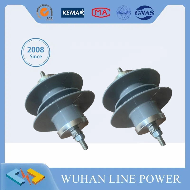 1kv Silicone Rubber Polymeric Lightning Arrester for Distribution Line