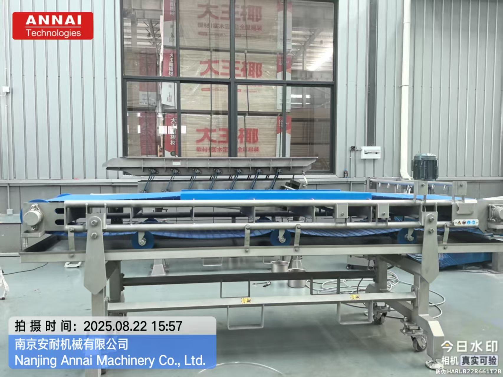 Belt Conveyor with CIP System for Food Processing