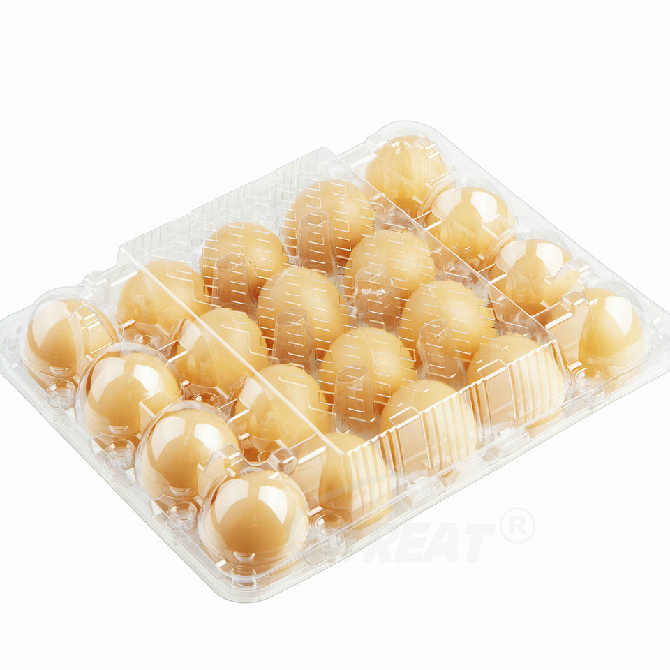 Egg20 Holes Hinged Disposable Clear Blister Plastic Egg Trays Suppliers Of Packaging Boxes For Egg Storage Clamshell Plastic